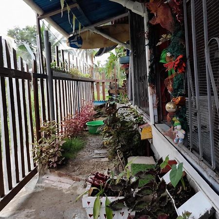 Hostal Cafe Axel Bocas del Toro Exterior foto